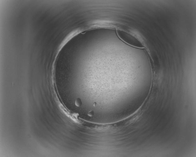 X0000080721386200612221216