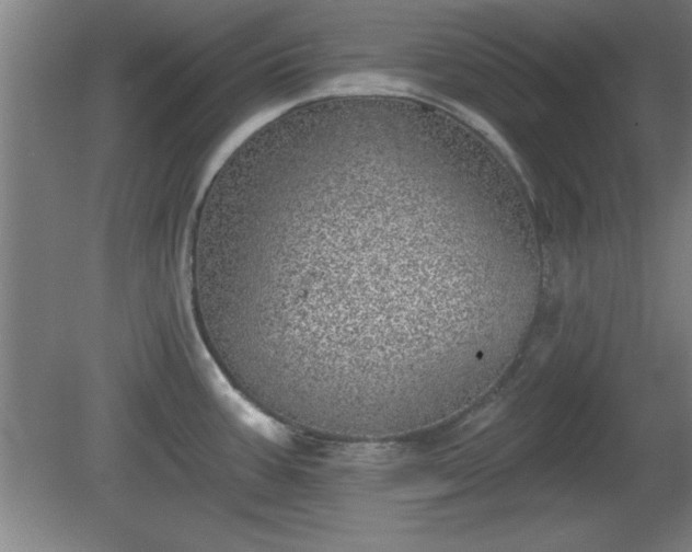 X0000080721387200612221216