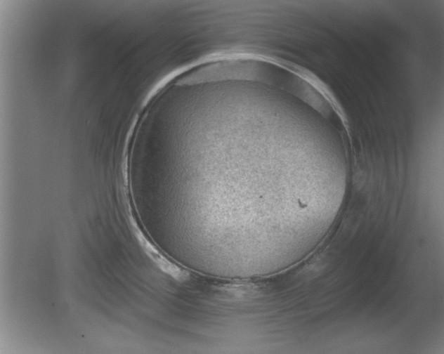 X0000080721388200612221216