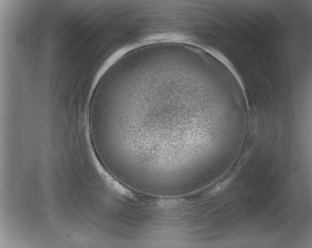 X0000080721389200612221216