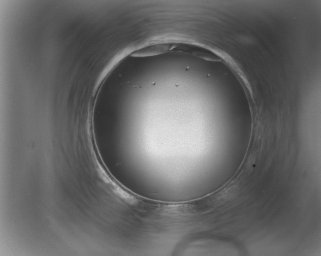 X0000080721390200612221216