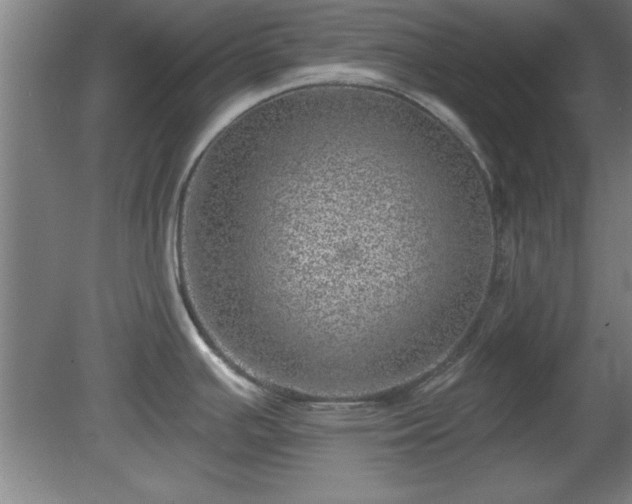 X0000080721391200612221216