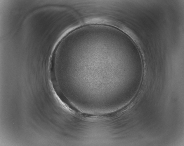 X0000080721392200612221216