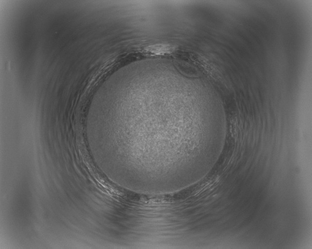 X0000080721393200612221215