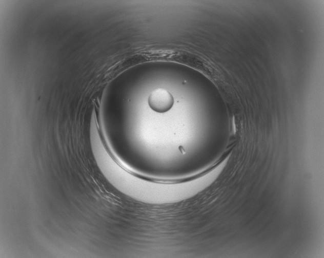 X0000080721394200612221215