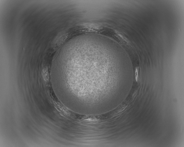 X0000080721395200612221215