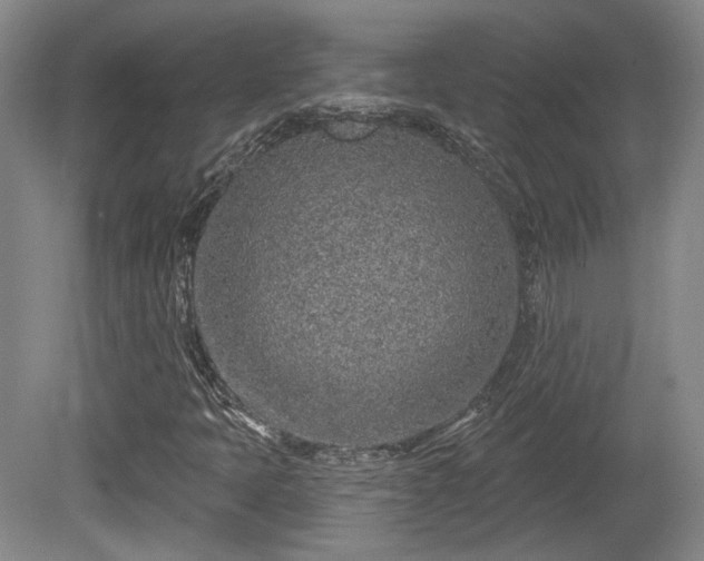 X0000080721397200612221215