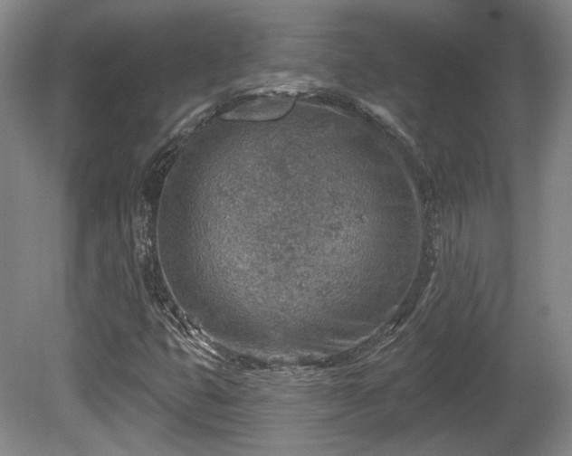 X0000080721399200612221215