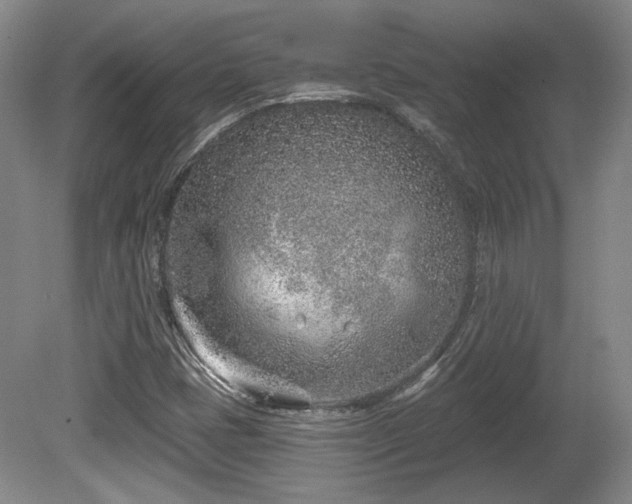 X0000080721401200612221215