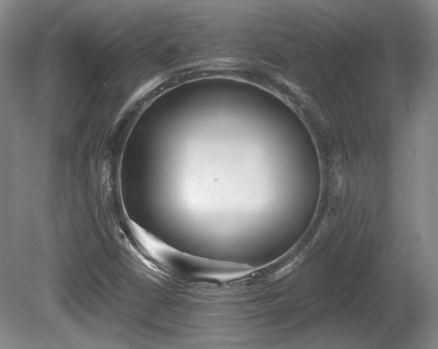 X0000080721402200612221215