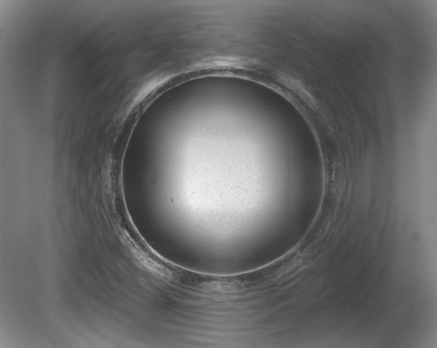 X0000080721404200612221215