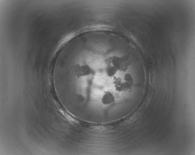 X0000080721405200612221215