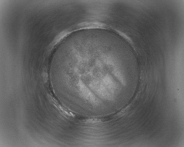 X0000080721407200612221215