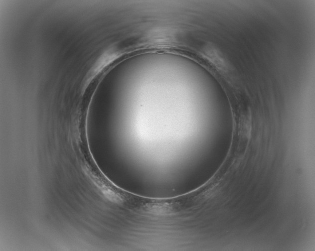 X0000080721410200612221215