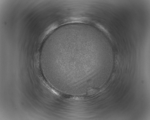 X0000080721411200612221215