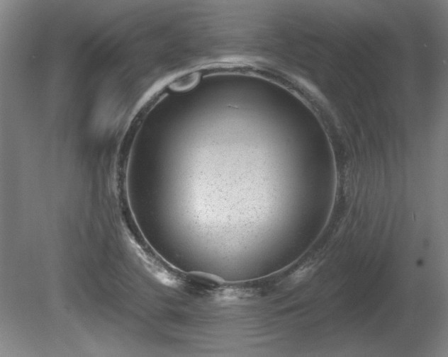 X0000080721412200612221215