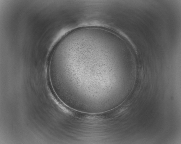 X0000080721416200612221215