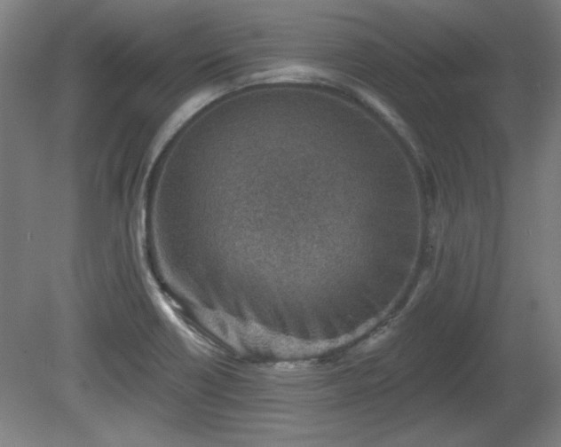 X0000080721418200612221215