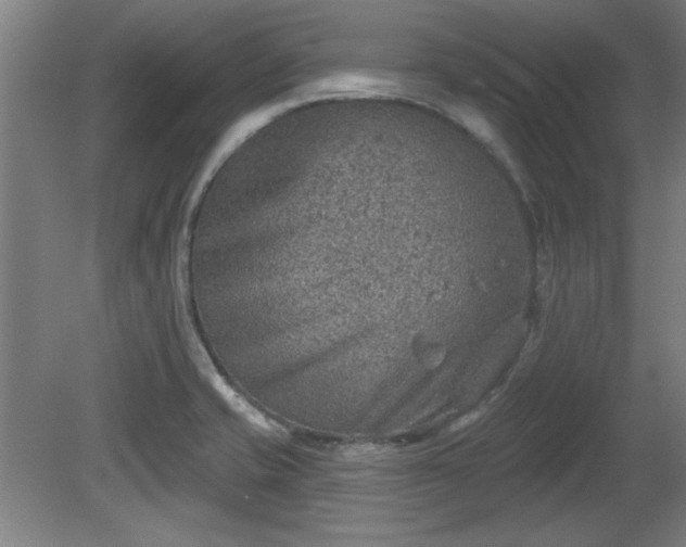 X0000080721421200612221215