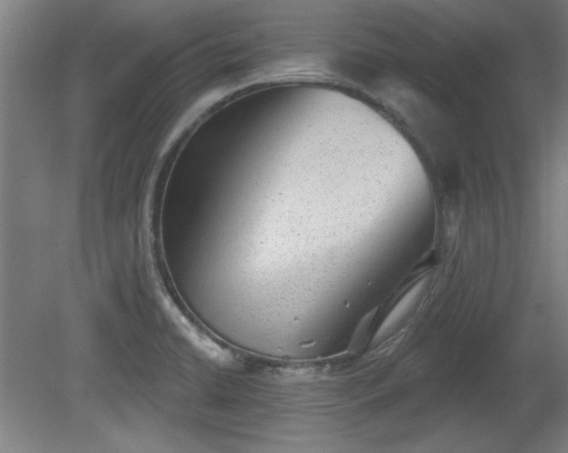 X0000080721422200612221215