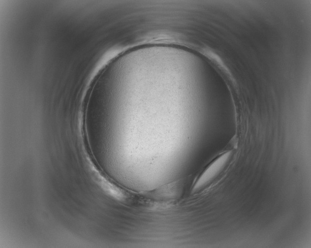 X0000080721424200612221215