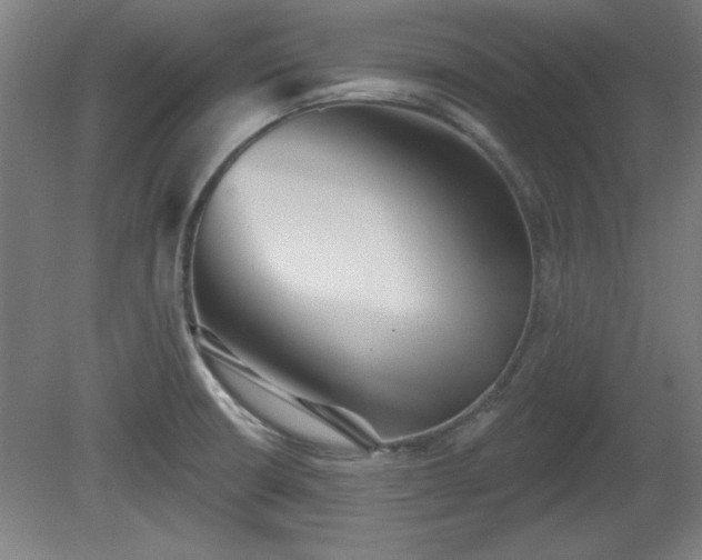 X0000080721426200612221215