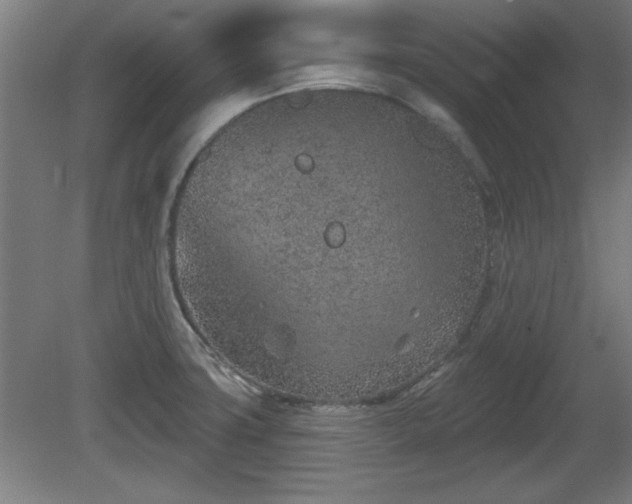 X0000080721427200612221215