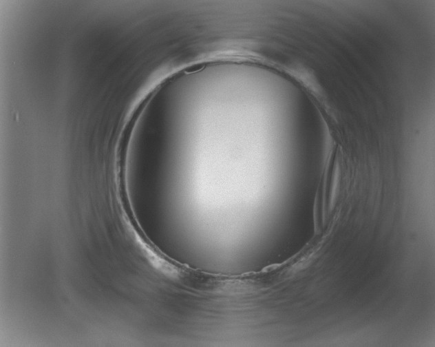 X0000080721430200612221215