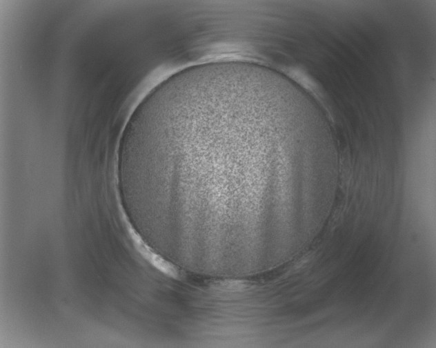 X0000080721431200612221215