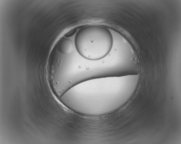 X0000080721432200612221215