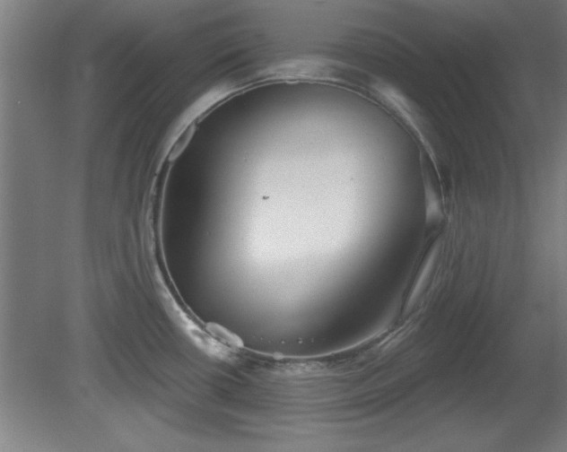 X0000080721434200612221215