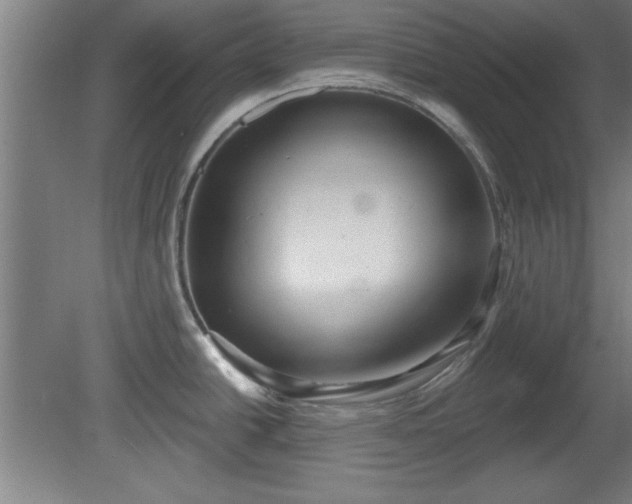 X0000080721438200612221216