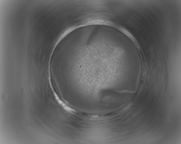 X0000080721439200612221216