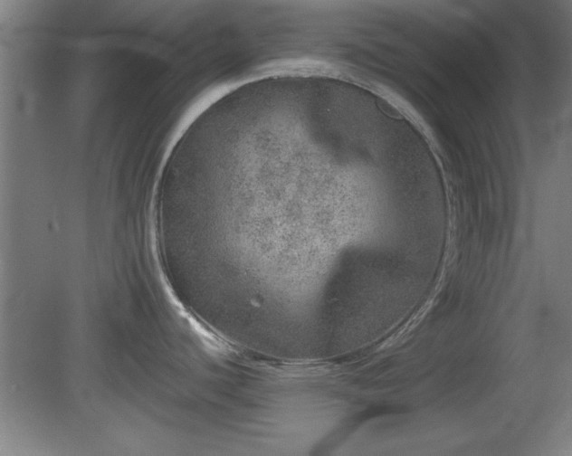 X0000080721440200612221216