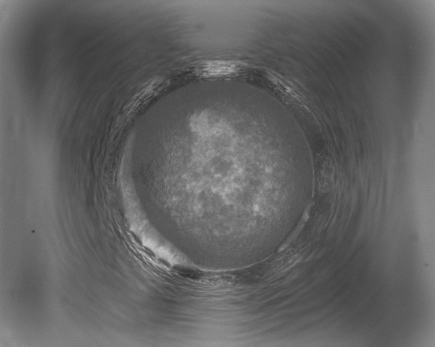 X0000080721441200612221215