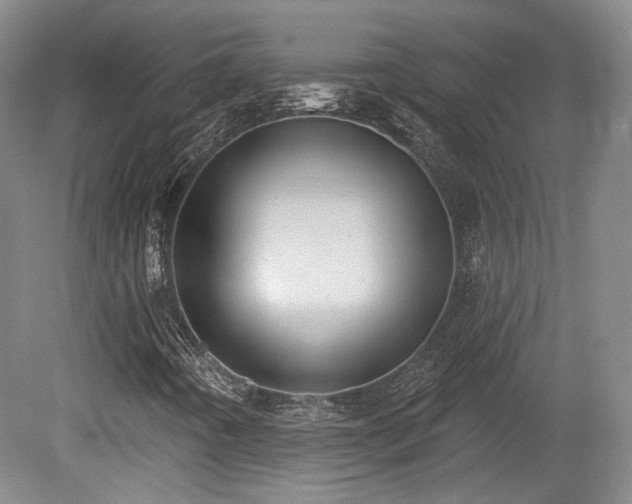 X0000080721442200612221215