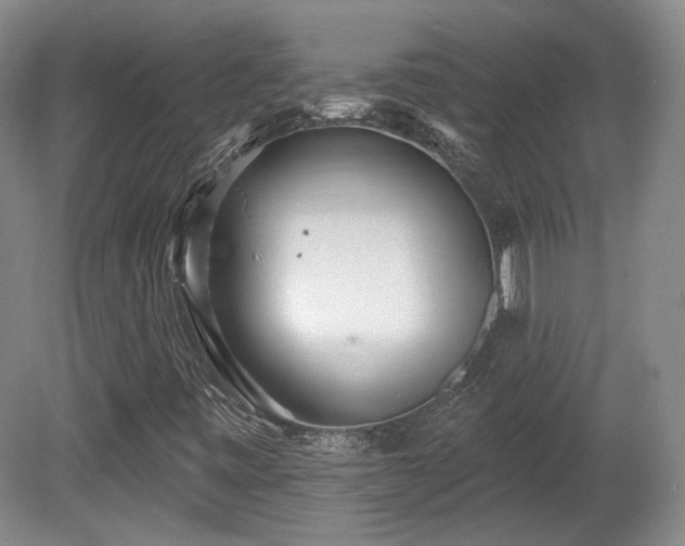 X0000080721443200612221215