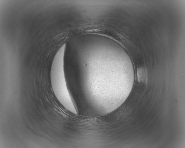 X0000080721444200612221215