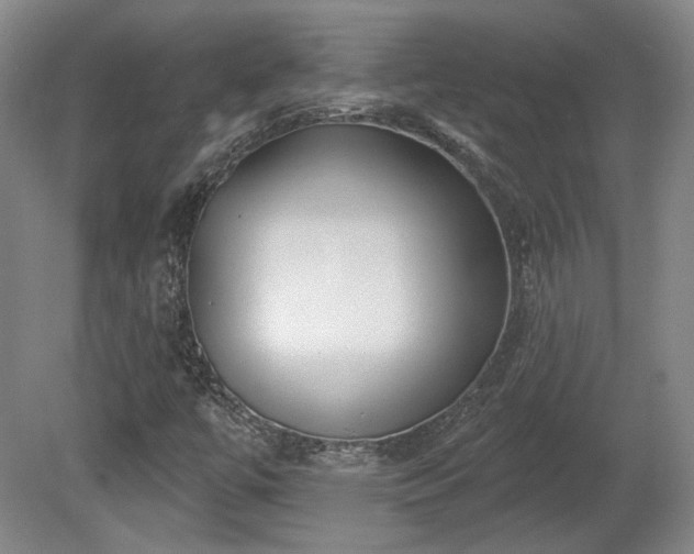 X0000080721447200612221215