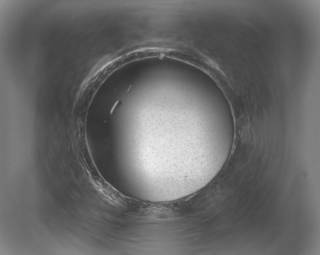 X0000080721448200612221215