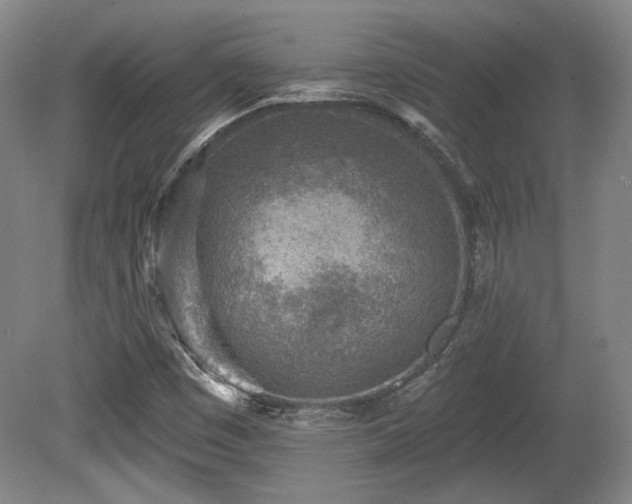 X0000080721449200612221215