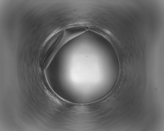 X0000080721450200612221215