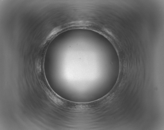 X0000080721451200612221215