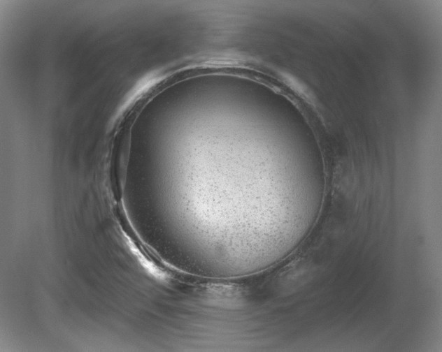 X0000080721456200612221215