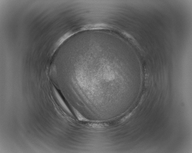 X0000080721457200612221214