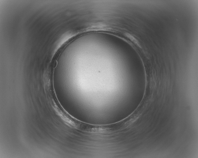 X0000080721458200612221214