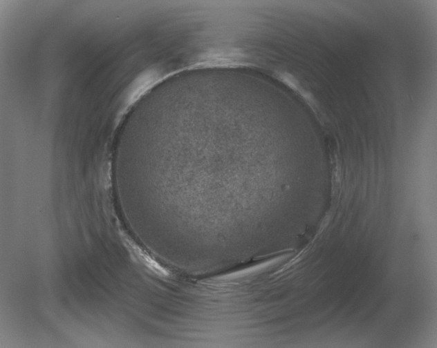 X0000080721459200612221214