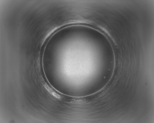 X0000080721460200612221214