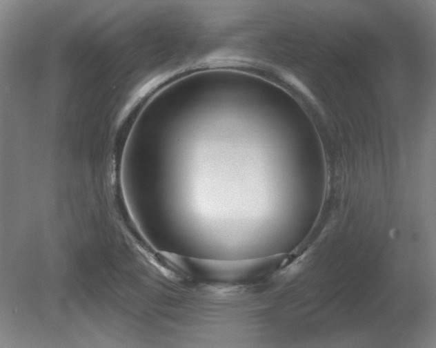 X0000080721461200612221214