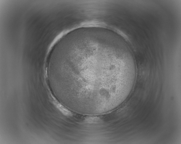 X0000080721462200612221214